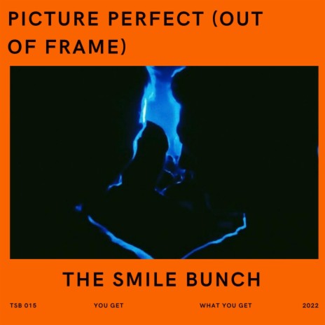 Picture Perfect (Out of Frame) | Boomplay Music