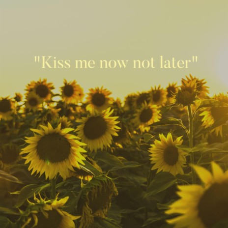 Kiss Me Now Not Later | Boomplay Music