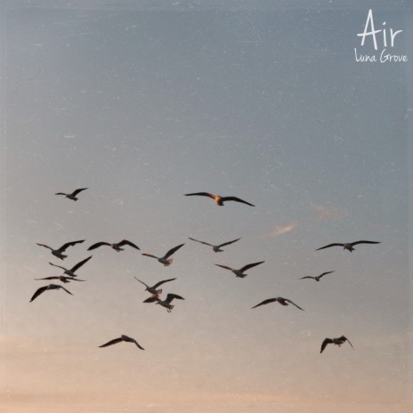 Air | Boomplay Music