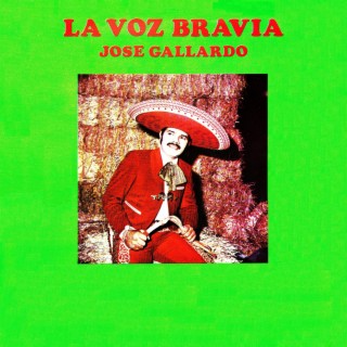 La voz bravía