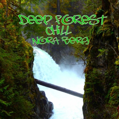 Deep Forest Chill | Boomplay Music