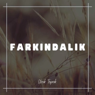 Farkındalık