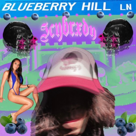 BLUEBERRY HILL | Boomplay Music