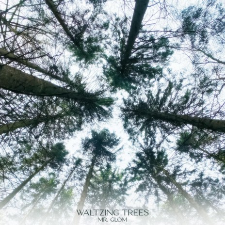 Waltzing Trees | Boomplay Music