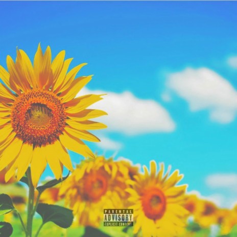 Sun Flower Slowed | Boomplay Music