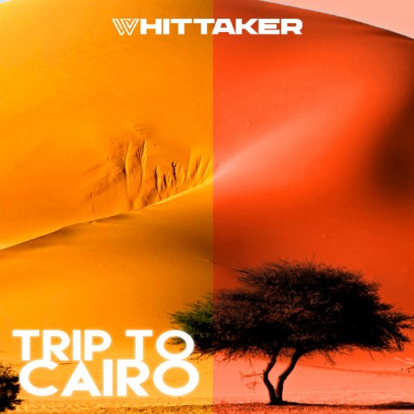 Trip to Cairo