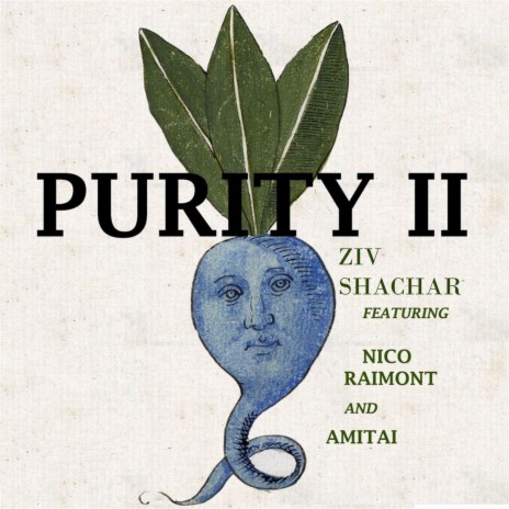 Purity II ft. Nico Raimont & Amitai | Boomplay Music