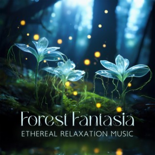 Forest Fantasia: Ethereal Relaxation Music, Enchanting Fantasy Forest with Beautiful Choir Singing and Nature Sounds to Spark Your Imagination