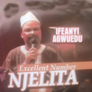 Excellent Number Njelita