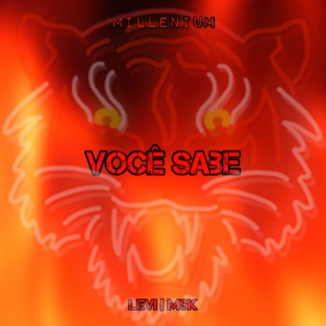 Você Sabe ft. Levi | Boomplay Music