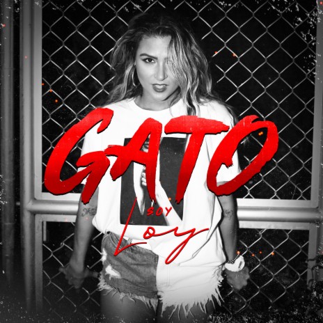 Gato | Boomplay Music