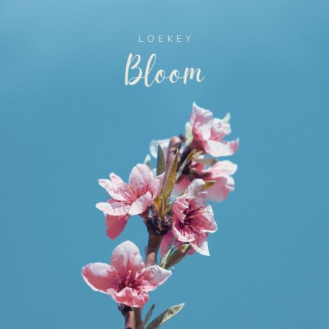 Bloom