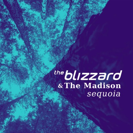 Sequoia (Radio Edit) ft. The Madison | Boomplay Music
