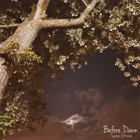 Before Dawn | Boomplay Music