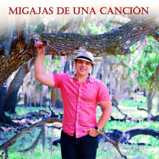 Migajas de una canción