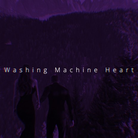Washing Machine Heart (Speed) | Boomplay Music