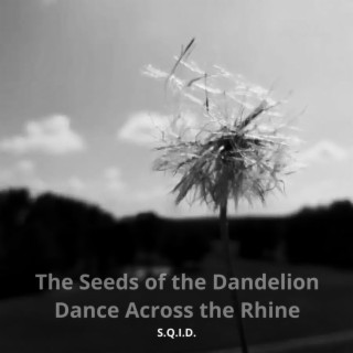 The Seeds of the Dandelion Dance Across the Rhine