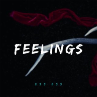 Feelings