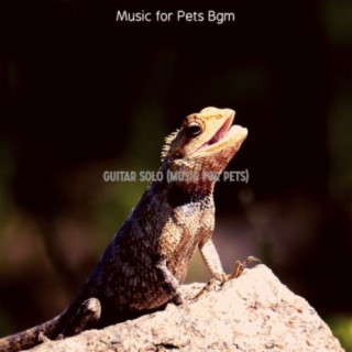 Guitar Solo (Music for Pets)