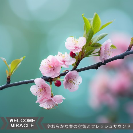 Light Caress of Spring | Boomplay Music