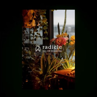 Radicle (Live)
