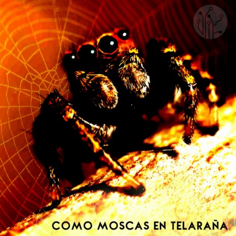 Como Moscas En Telaraña | Boomplay Music