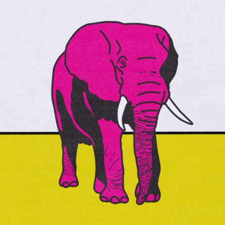Elephant | Boomplay Music