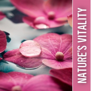 Nature's Vitality: A Melodious Journey in the Calming Sounds of Nature for Total Relaxation and Deep Sleep