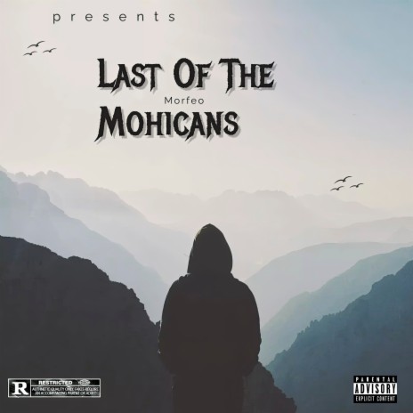 Last of the Mohicans | Boomplay Music