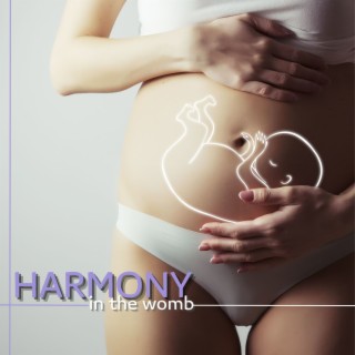 Harmony in the Womb: a Soulful Collection of Relaxing Pregnancy Music for Moms-To-Be