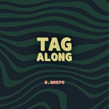 Tag Along | Boomplay Music