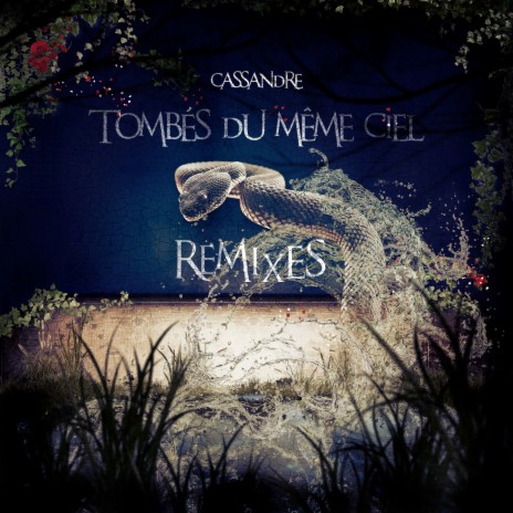 Tombés du même ciel (IKS Remix) ft. iks dj | Boomplay Music