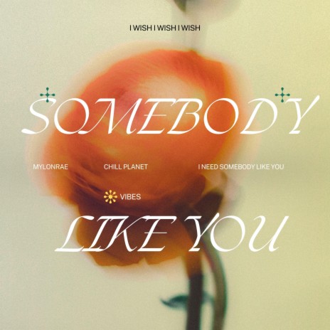 Somebody Like You (Sped Up)
