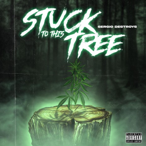 Stuck To This Tree | Boomplay Music