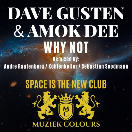 Why Not (Sebastian Soodmann Remix) ft. Amok Dee