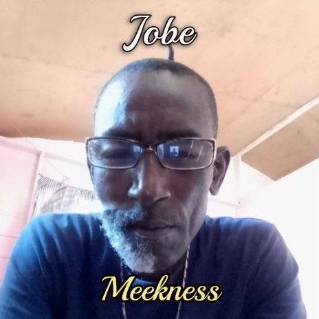 Meekness (Official Audio) | Boomplay Music
