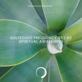 Solfeggio Frequency 852 Hz (Spiritual Awakening)