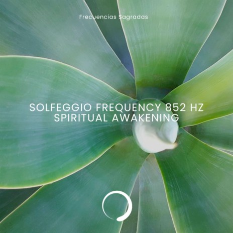 Solfeggio Frequency 852 Hz (Spiritual Awakening) | Boomplay Music