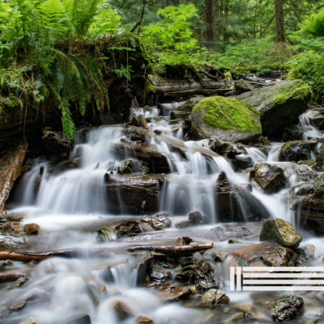 Sleep ft. Waterfall Sounds Reserve & Sounds of Nature Zone | Boomplay Music