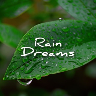 Rain Dreams