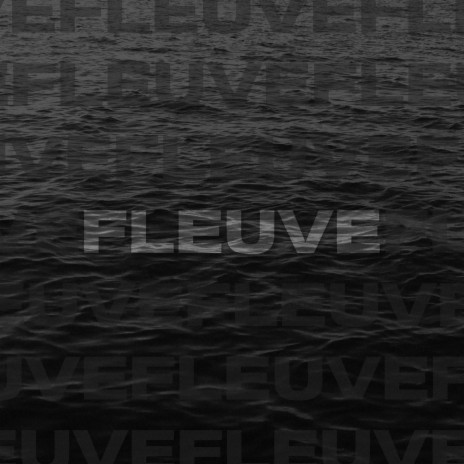 Fleuve