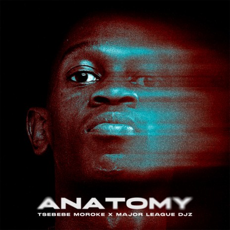 Anatomy ft. Major League Djz | Boomplay Music