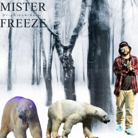 Mister Freeze | Boomplay Music