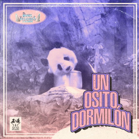 Un Osito Dormilón | Boomplay Music