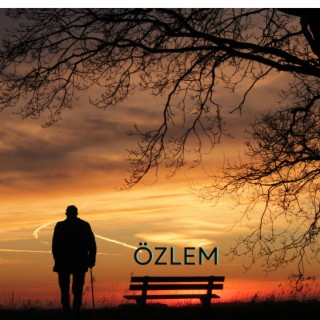 Özlem