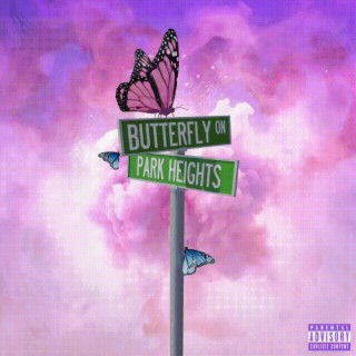 Butterfly On ParkHeights (B Side)