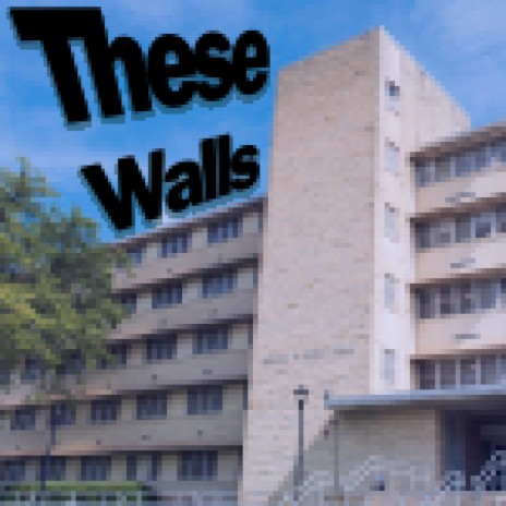 these walls | Boomplay Music