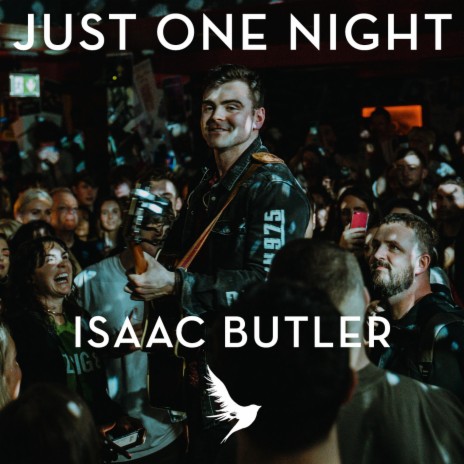 Just One Night | Boomplay Music