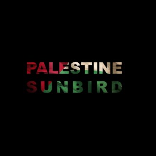 Palestine Sunbird