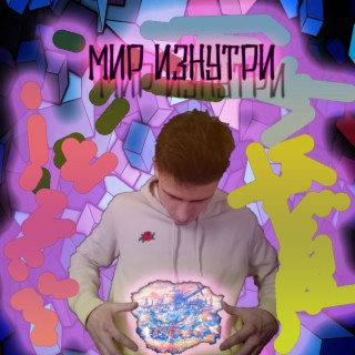 Мир изнутри